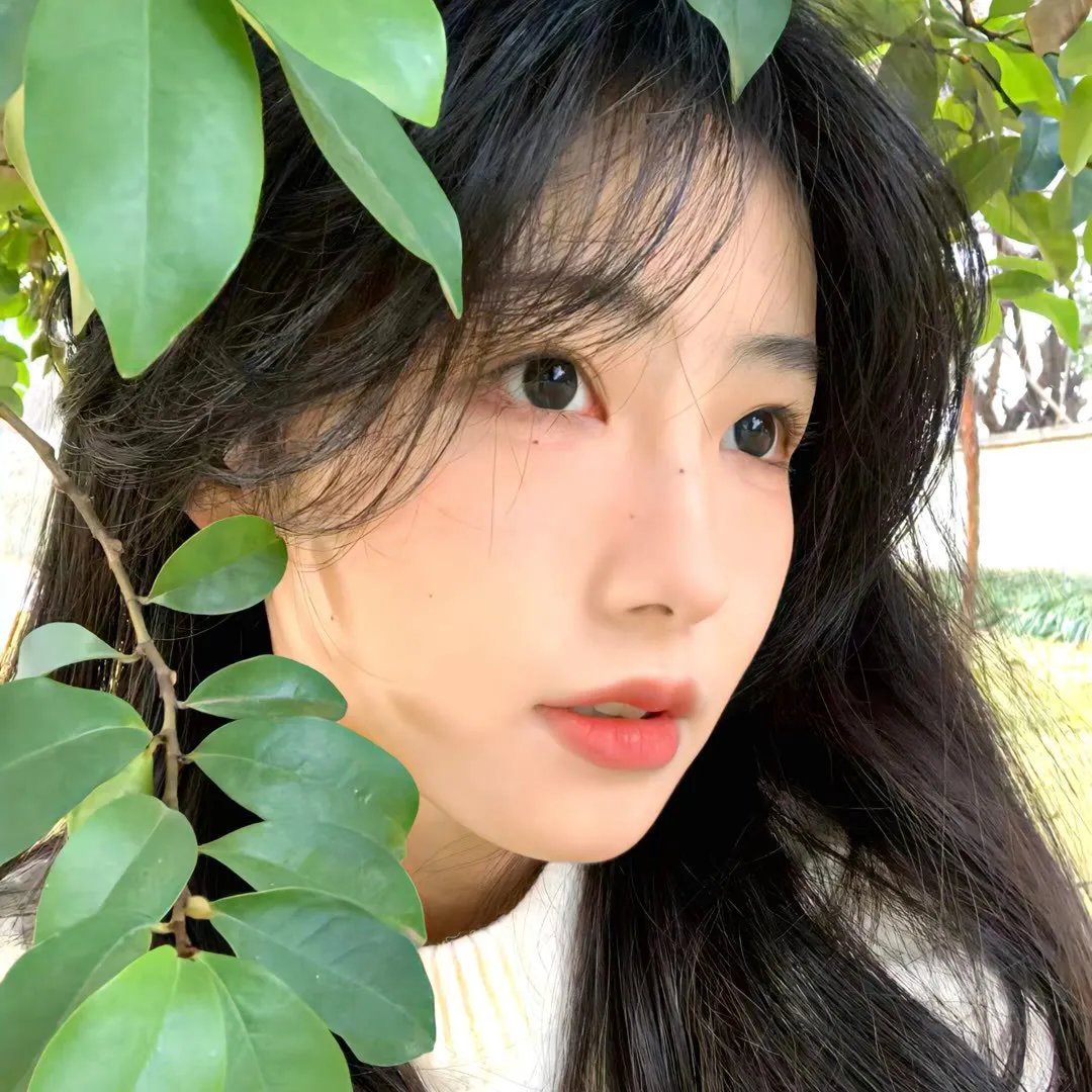 哈啰你好喵